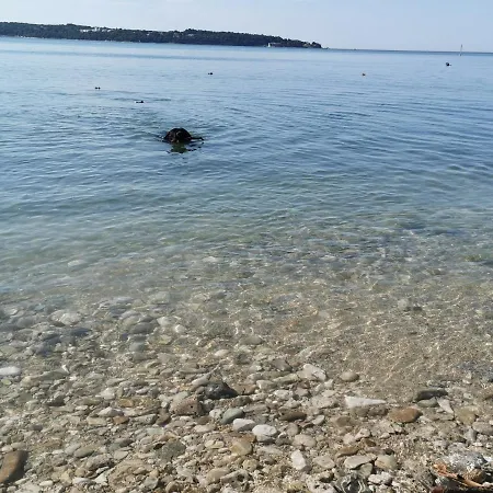 Mirta Deluxe: Seaside Serenity Novigrad (Istria)
